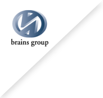 brains group